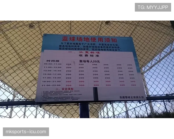 如何理解篮球场上的合理冲撞规则及判定标准